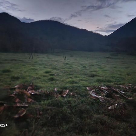 Tio Felix Eco Lodge La Fortuna Dış mekan fotoğraf