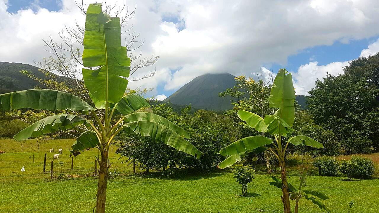 Tio Felix Eco Lodge La Fortuna Dış mekan fotoğraf