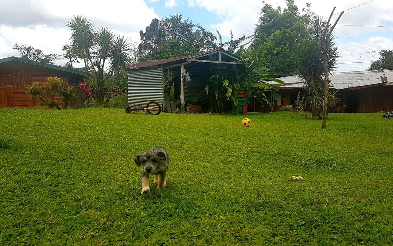 Tio Felix Eco Lodge La Fortuna Dış mekan fotoğraf