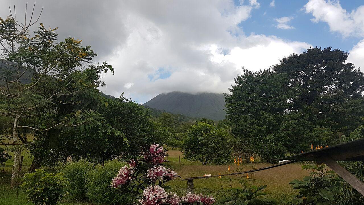Tio Felix Eco Lodge La Fortuna Dış mekan fotoğraf