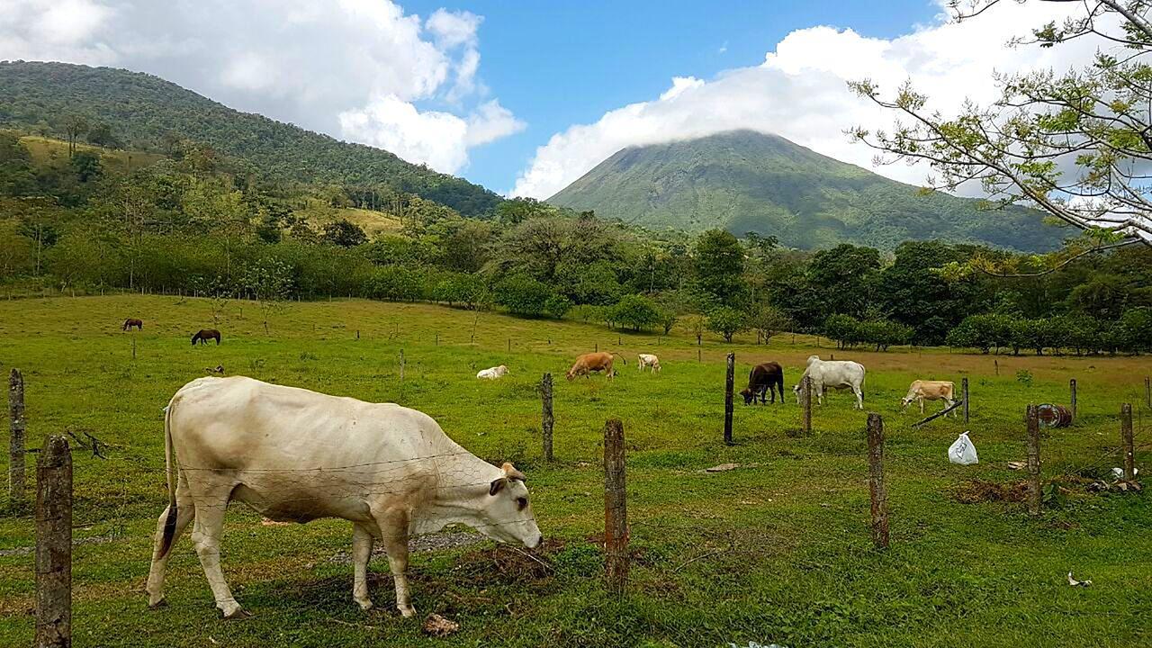 Tio Felix Eco Lodge La Fortuna Dış mekan fotoğraf