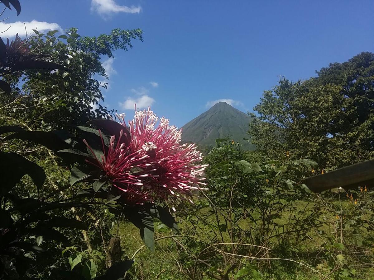 Tio Felix Eco Lodge La Fortuna Dış mekan fotoğraf