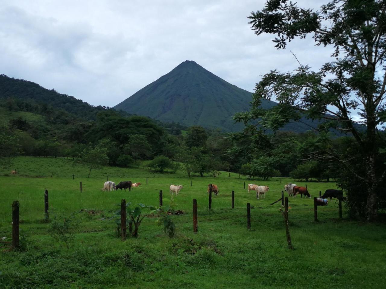 Tio Felix Eco Lodge La Fortuna Dış mekan fotoğraf